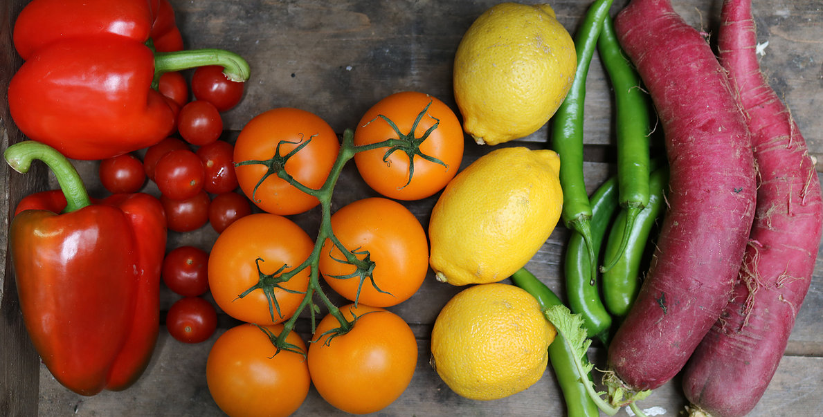 Ted’s Veg