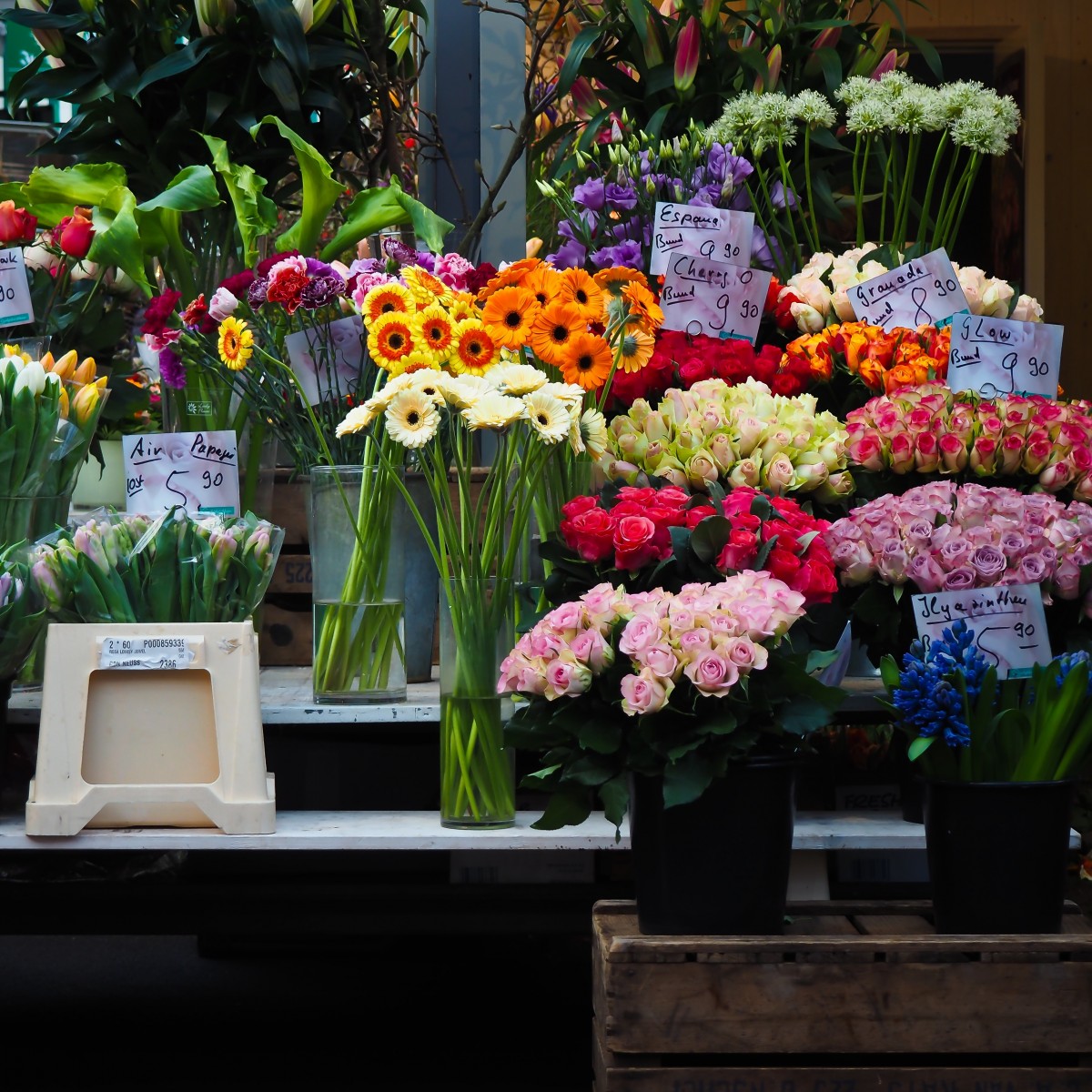 Flower Warehouse