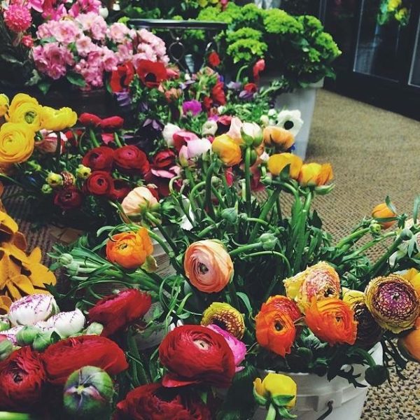 Infinte Green
